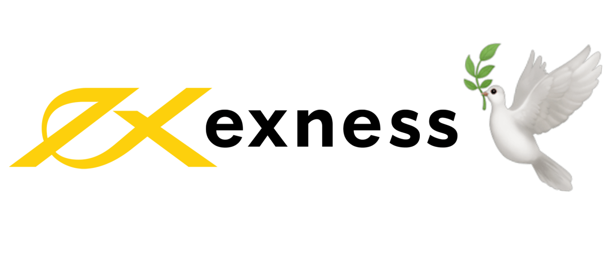 Discovering Exness Morocco A Gateway to Financial Trading Discovering Exness Morocco A Gateway to Financial Trading