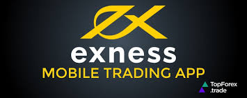 Understanding Exness Forex Liquidity Providers How They Influence Trading Understanding Exness Forex Liquidity Providers How They Influence Trading