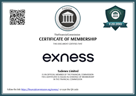 Understanding Exness Forex Liquidity Providers How They Influence Trading Understanding Exness Forex Liquidity Providers How They Influence Trading