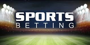 The Future of Online Betting Insights into 11uu